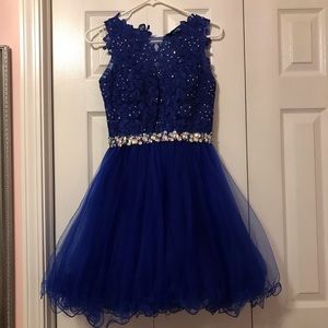 Royal Blue tulle dress with lace embroidery
